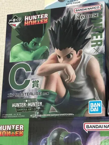 HUNTER x HUNTER 곤 C상 피규어