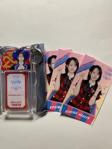 AKB48 나리타 히나 지역별 키링 스티커 포함