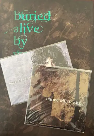 buried alive by words 진호