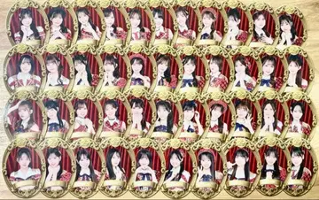 AKB48 [일본 무도관 콘서트] 찬스 복권 포함 오리지널 스티커 컴프