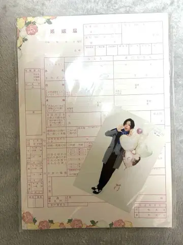 메이지 도쿄 연가 메이코이 메이지