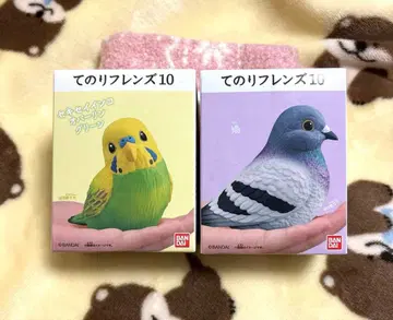 테노리 프렌즈 10 잉꼬 비둘기