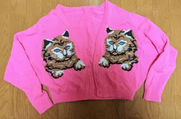 아차츄무 무차차 가디건 고양이