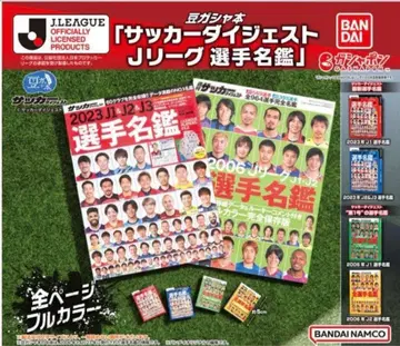 J리그 선수 명감 콩 가샤 4종 컴프
