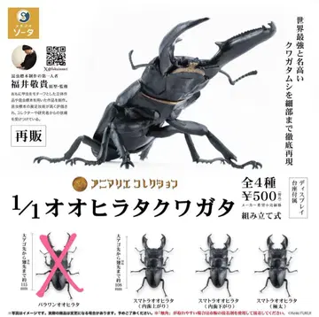 아니마리에 컬렉션 1/1 오오히라타 사슴벌레 3종 세트