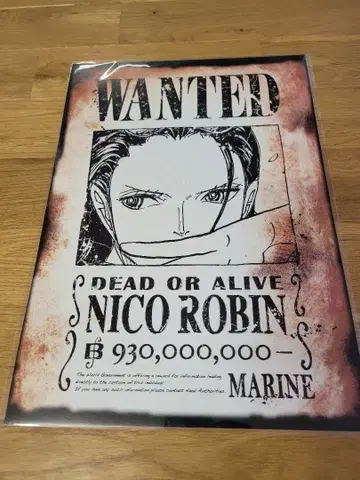원피스 베이스샵 한정판 수배서 로빈 포스터