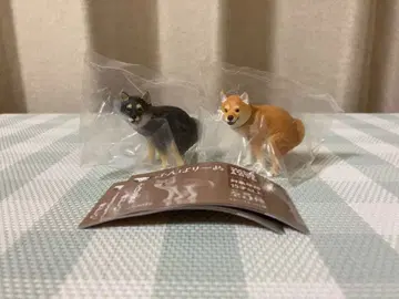 새상품 푼바리~누 푼바리~누 시바견 블랙 시바