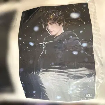GACKT B3 포스터 백로 2장 세트
