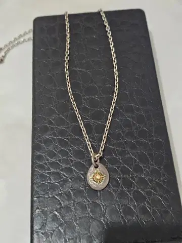 애리조나 프리덤 ARIZONA 925 실버 목걸이