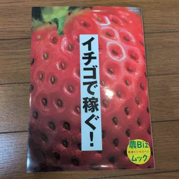 이치고로 돈 벌기! 농Biz 북