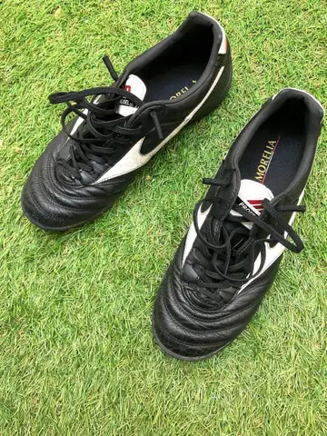 모렐리아 TF 25.5cm