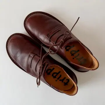 trippen Haferl 39 박스 있음 브라운 가죽 레이스업 슈즈