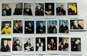 달콤한 폭력 의 폴라로이드