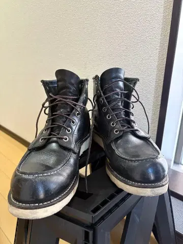 RED WING 8179 8.5D 아이리쉬 세터
