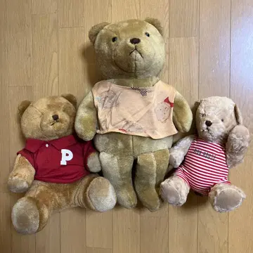 핑크하우스 곰 봉제 인형