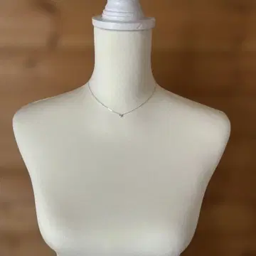 oeau 싱글 볼 다이아 목걸이 2021