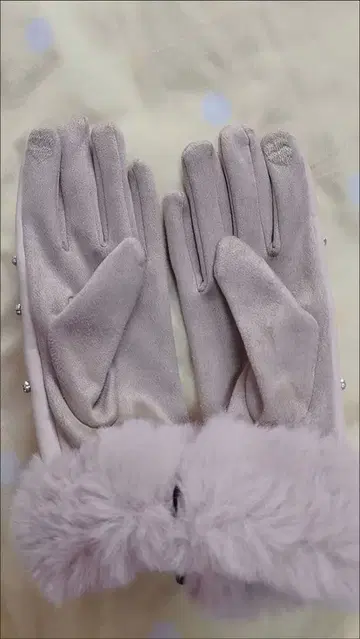 연한 그레이 비쥬 장식 퍼 포함 장갑