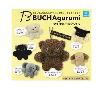 부챠구루미 가챠 가챠가챠 풀컴프