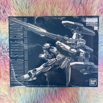 MG 1/100 라이트닝 스트라이크 건담 Ver.RM