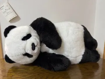 우에노 동물원 한정판 안아줘 샨샨 초기 로트