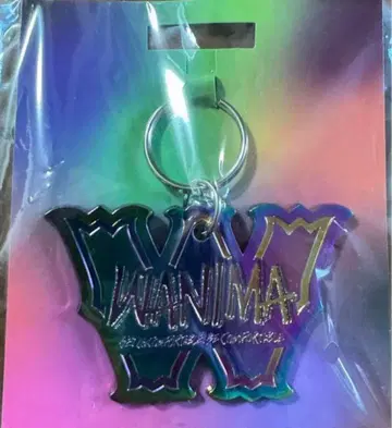 WANNIM 메탈 키링 오로라 컬러