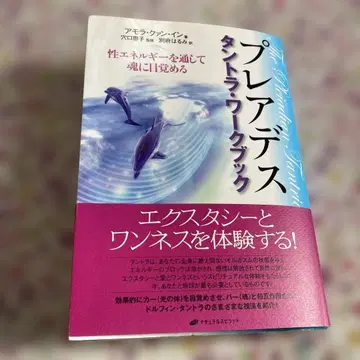 플레이아데스 탄트라 워크북: 성 에너지를 통해 영혼을 깨우다