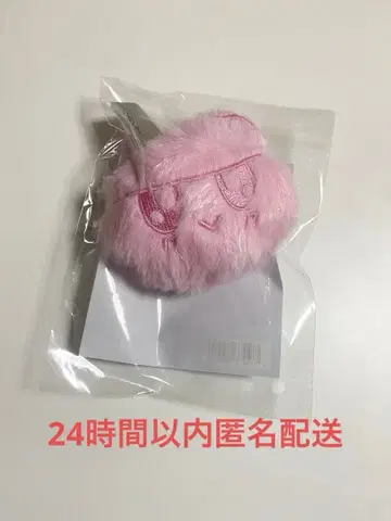 SEVENTEEN NEW 굿즈 모자 꽁지 키링 도쿄 새상품