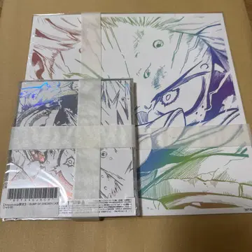 BUMP OF CHICKEN I 미개봉품 누락 없음 메가 재킷 포함