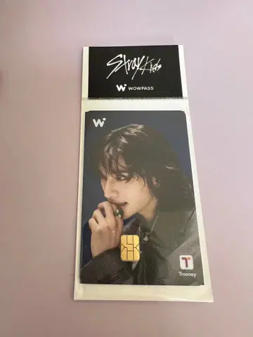 Stray Kids wowpass 와우패스 현진