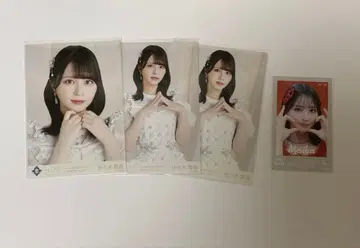 이코라부 사사키 마이카 묶음 판매