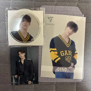 SEVENTEEN DINO