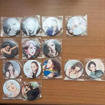 아무로 나미에 마그넷 14개