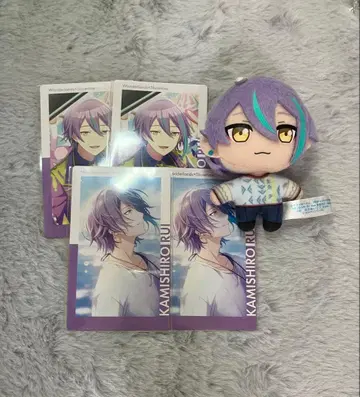 프로세카 카미시로 루이 쁘띠누이 에피카 19B 묶음 판매