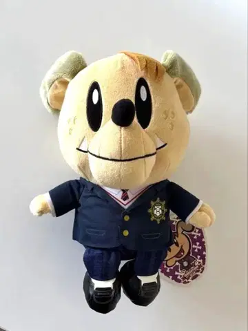 제네견 시라하마 아란 ALAN