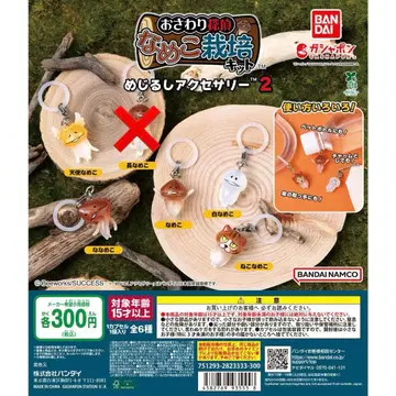 나메코 재배 키트 메지루시 액세서리 2탄 세미 컴프