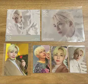 SEVENTEEN 정한 아이노치카라 초회 한정판 자켓 트레이딩 카드