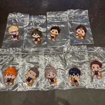 제일복권 극장판 하이큐!! 쓰레기장의 결전 2 G상 카라스노 아크릴 참