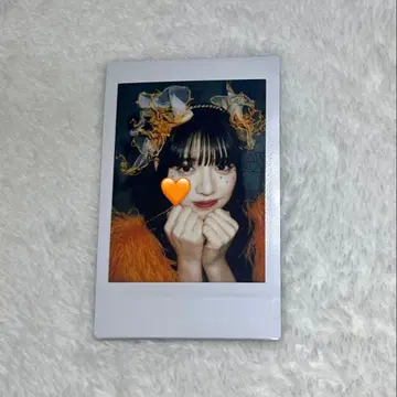 진제 스즈카 폴라로이드