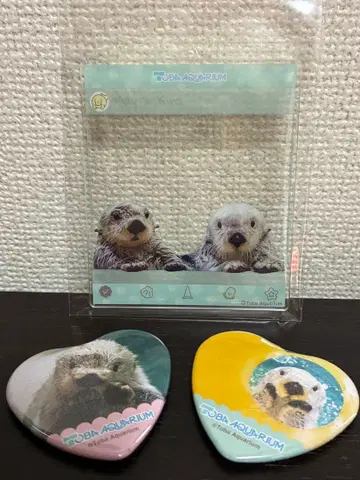 도바 수족관 랏코 메이 키라 아크릴 키링 캔뱃지 3종 세트