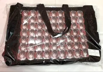 AMPTAK 앗토군 캔뱃지 63점 브라메아