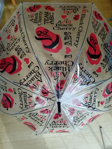AcidBlackChrry 비닐 우산 2개 세트