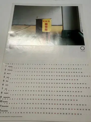 GREEN NERVE vol.10 히라사와 스스무 P-MODEL