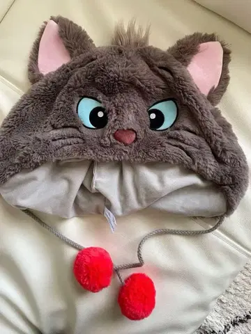 베를리오즈 팬캡