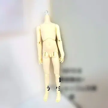 관리 완료 sd 13 남아 화이트 스킨 바디