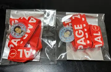 THE RAMPAGE 진 넥스트랩 2개 세트 익명 배송