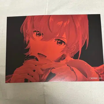 빅 카드 니지 페스티벌 후라 소토