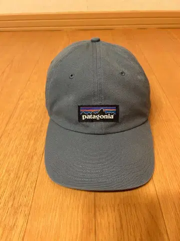 patagonia 블루 그레이 캡