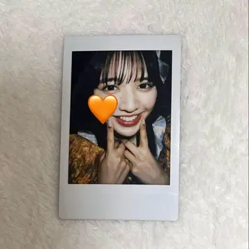 진제이 스즈카 폴라로이드