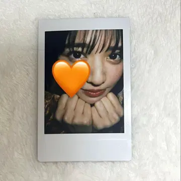 진세이 스즈카 폴라로이드