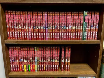 페어리 테일 전권